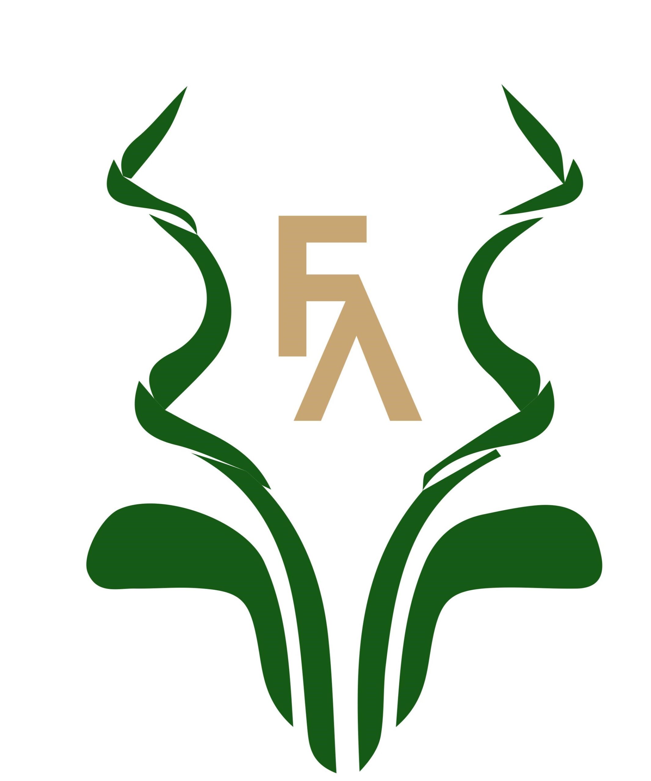 Home Fairend Safaris