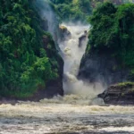 Nature walks and hiking in Murchison falls to the top of the falls.