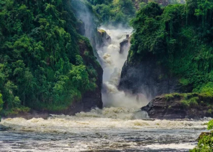 Nature walks and hiking in Murchison falls to the top of the falls.