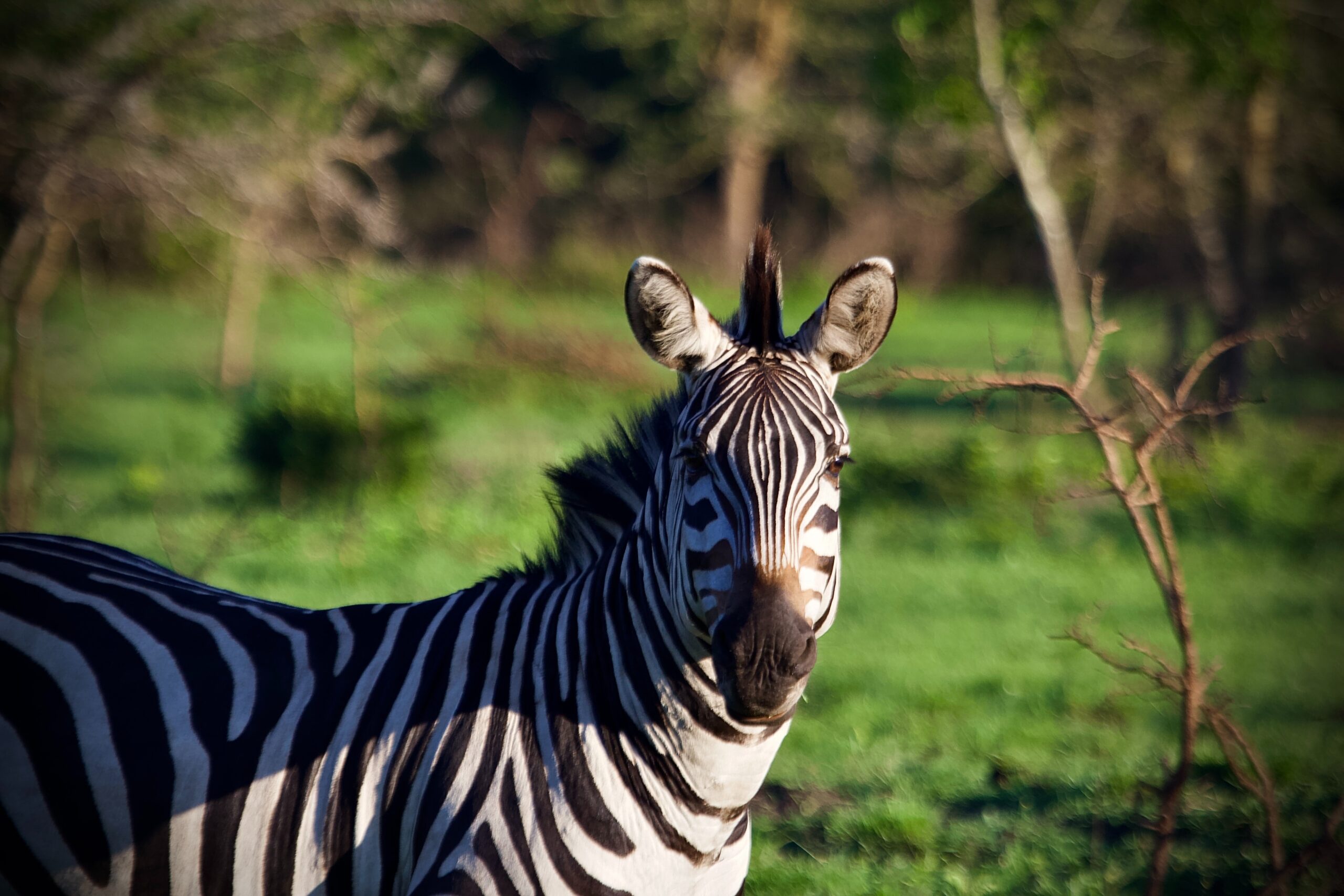 Lake Mburo National Park