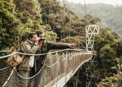 Nyungwe Forest National Park