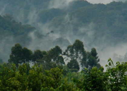 Gishwati Mukura National Park