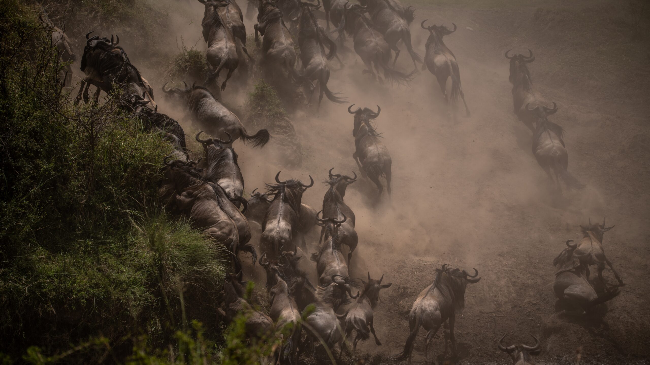 Masai Mara National Reserve