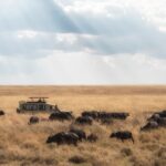 Serengeti National Park