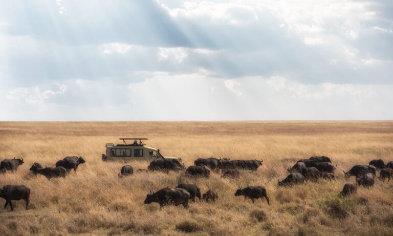 Serengeti National Park