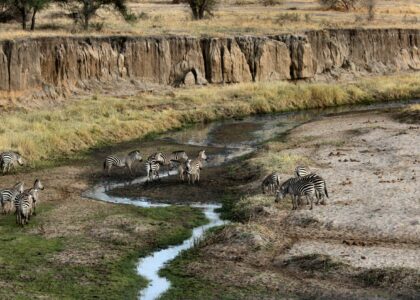 Ngorongoro Conservation Area