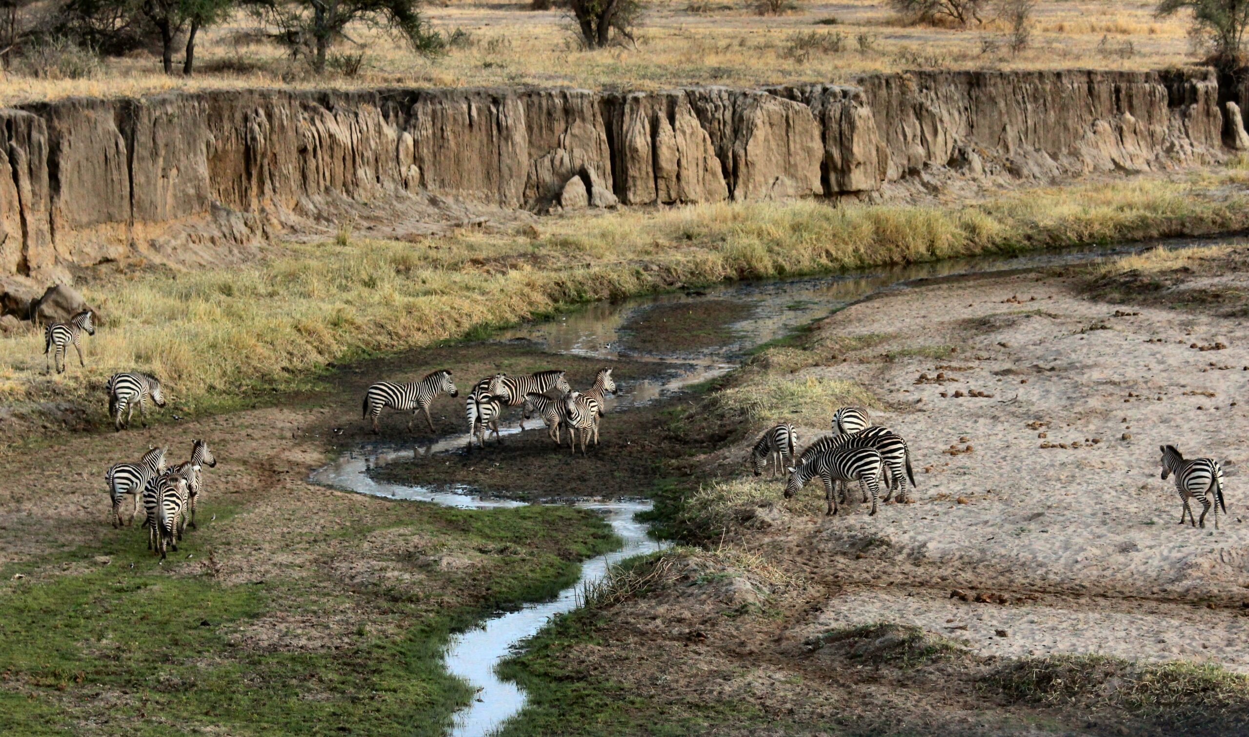 Ngorongoro Conservation Area