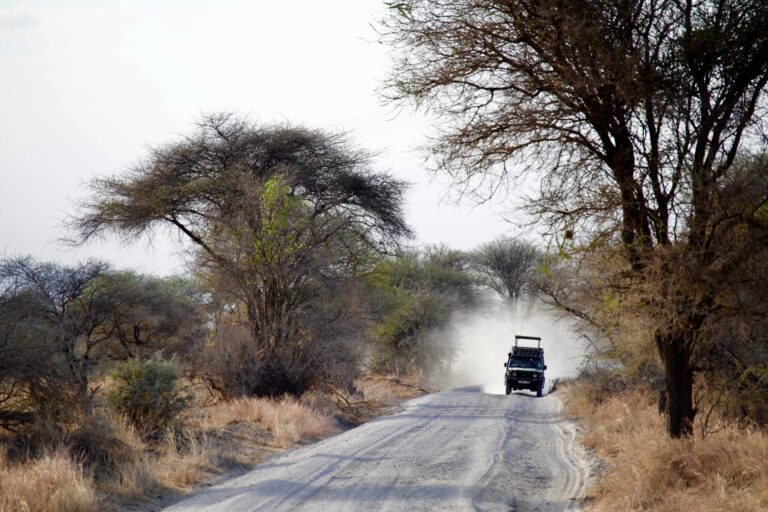 10 Days of Best Tanzania Safari
